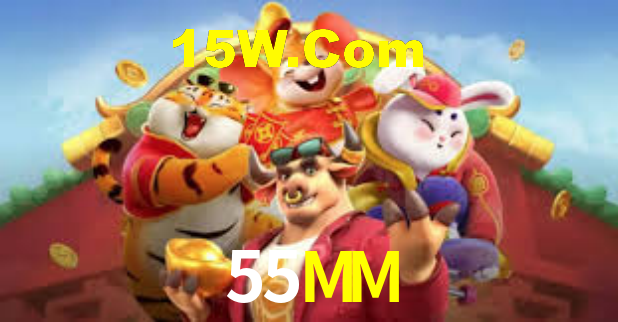 55MM - Installation Guide